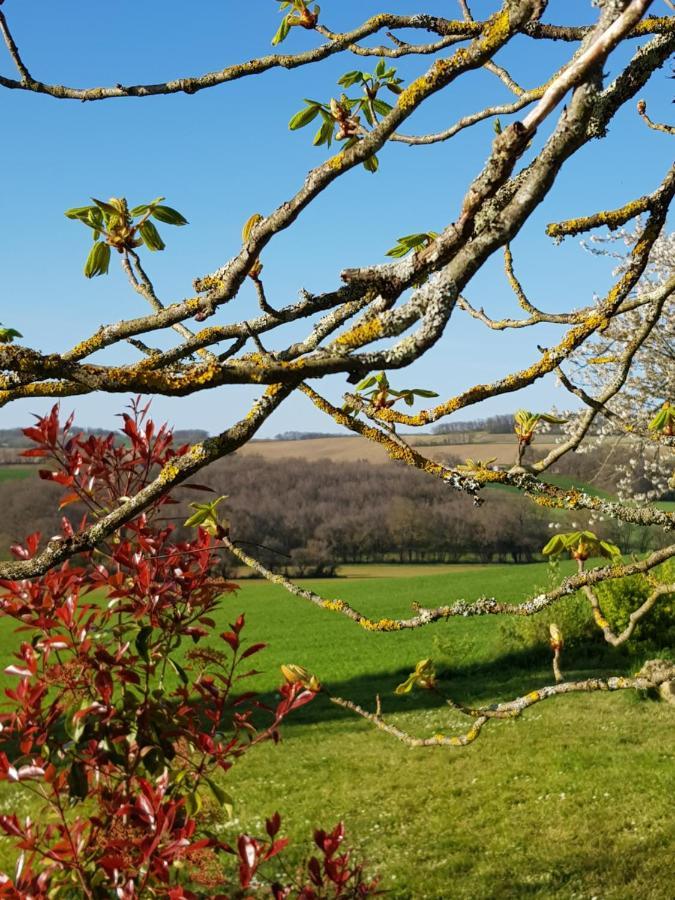 Le Petit Bergeret En Gascogne Villa Saint-Puy Екстериор снимка